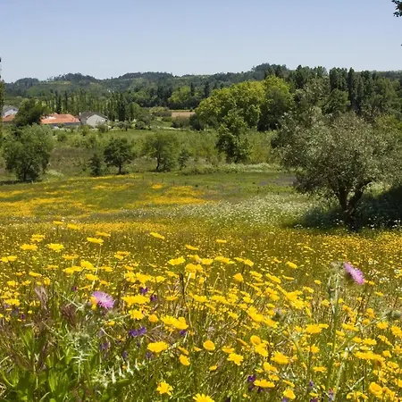 Alojamento de Turismo Rural Quinta Da Alcaidaria Mor Ourém