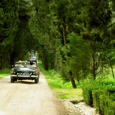 Farm stay Quinta Da Alcaidaria Mor *