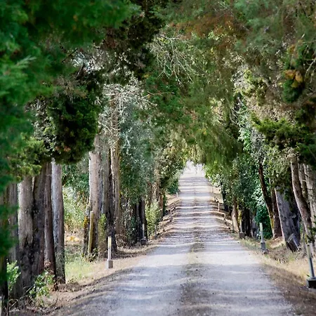 Farm stay Quinta Da Alcaidaria Mor