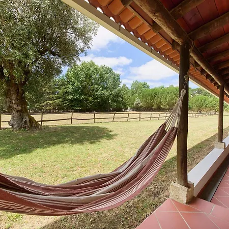 Quinta Da Alcaidaria Mor Farm stay