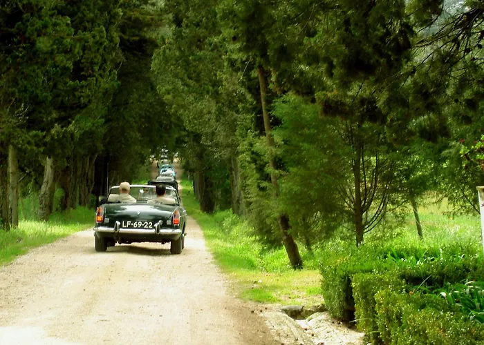 ファームステイ Quinta Da Alcaidaria Mor *