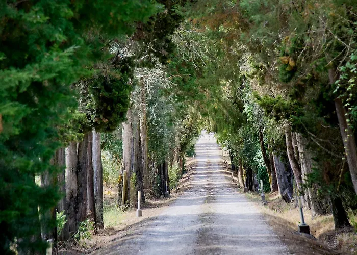 ファームステイ Quinta Da Alcaidaria Mor