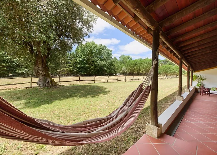 Quinta Da Alcaidaria Mor ファームステイ